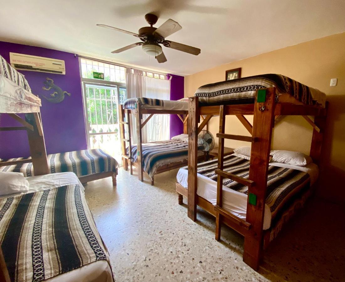 מזטלן Wandering Monkey Guesthouse מראה חיצוני תמונה