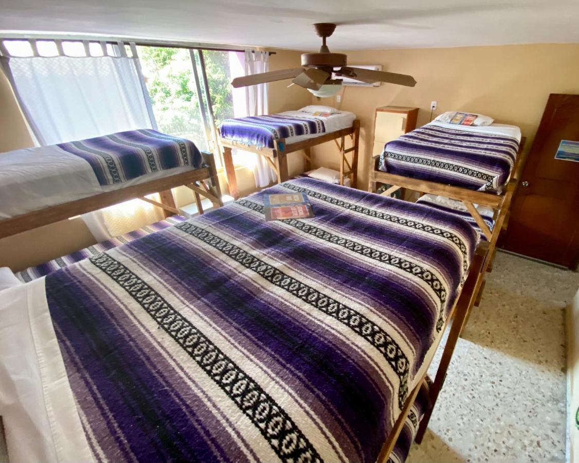 מזטלן Wandering Monkey Guesthouse מראה חיצוני תמונה