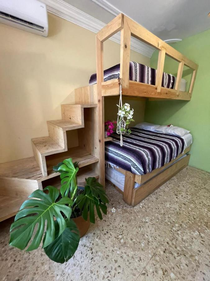 מזטלן Wandering Monkey Guesthouse מראה חיצוני תמונה