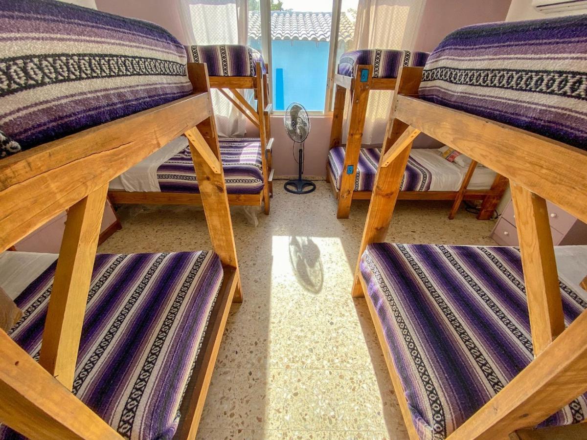 מזטלן Wandering Monkey Guesthouse מראה חיצוני תמונה