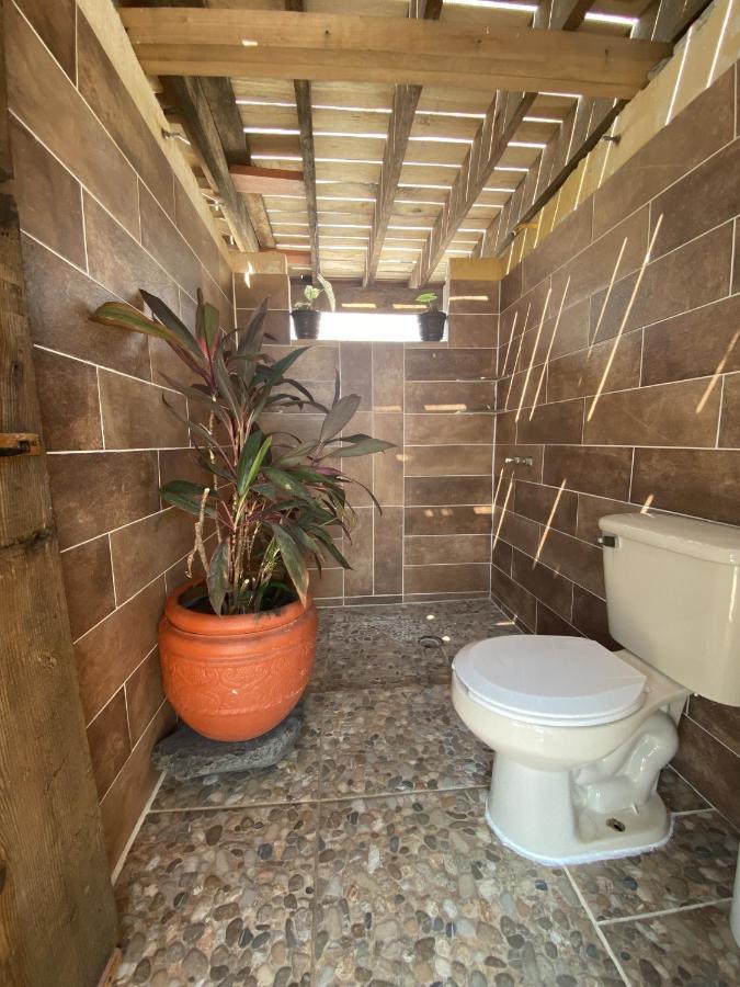 מזטלן Wandering Monkey Guesthouse מראה חיצוני תמונה