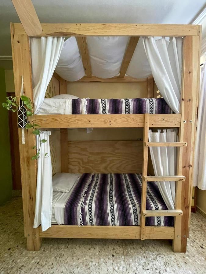 מזטלן Wandering Monkey Guesthouse מראה חיצוני תמונה
